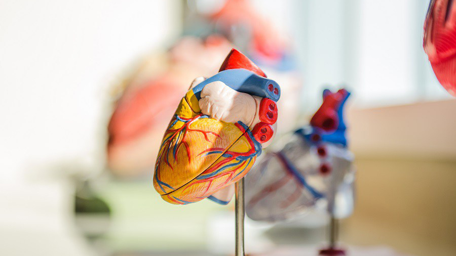 There's More to Heart Disease Than Heart Attacks