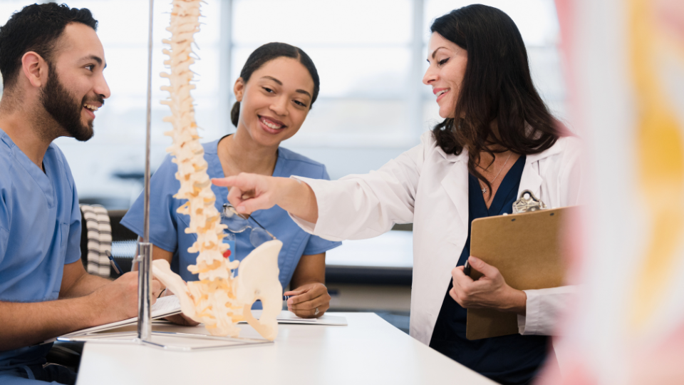 Medical students looking at a faux skeleton's spine