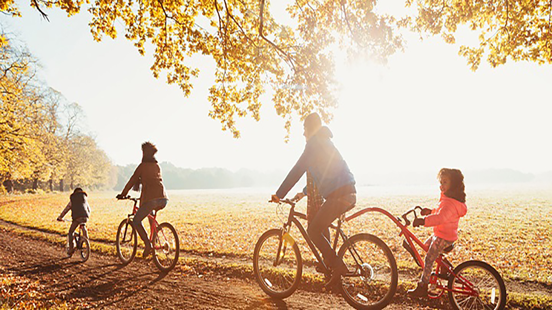 Caregiver Wellness