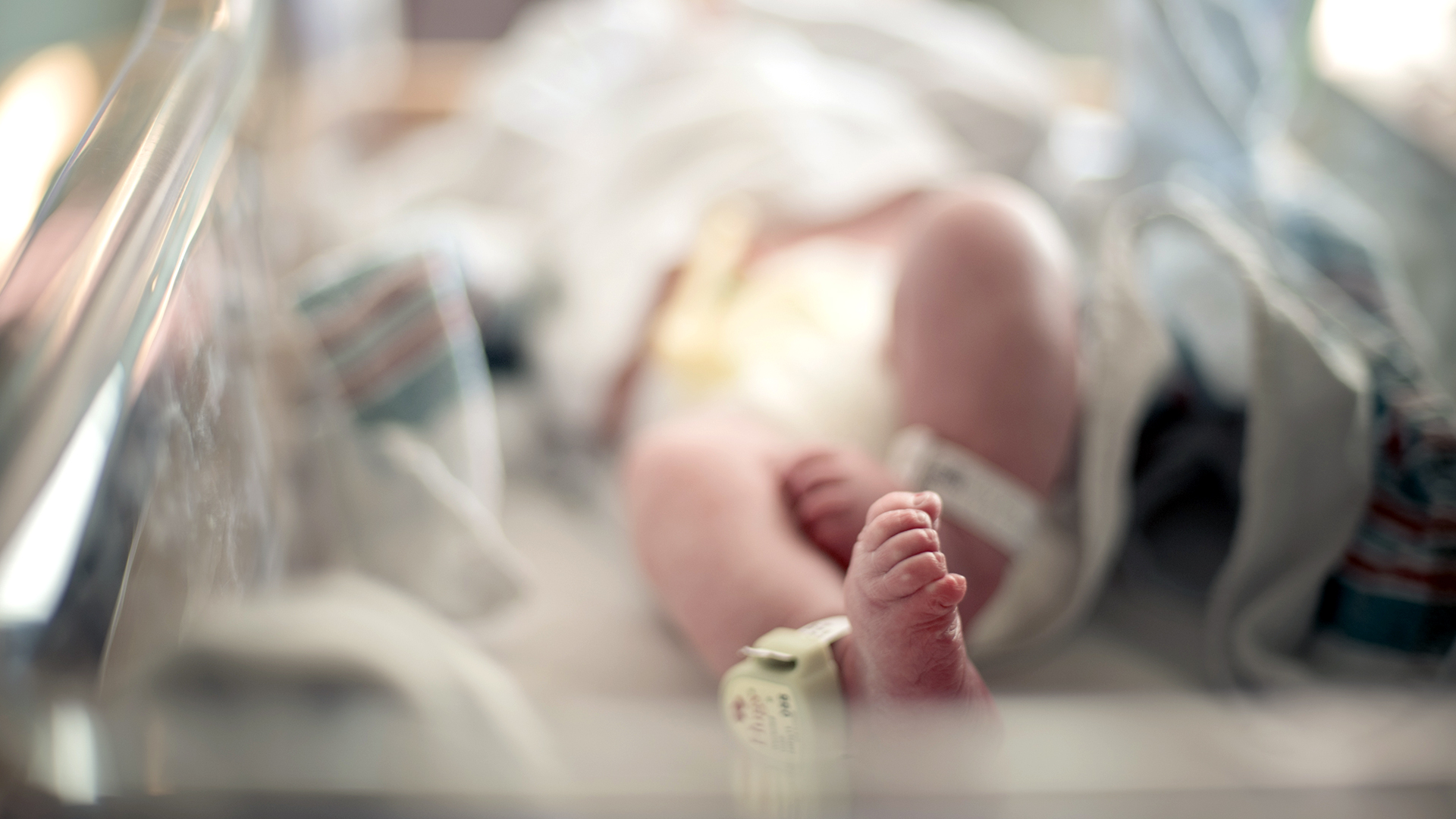 baby's foot