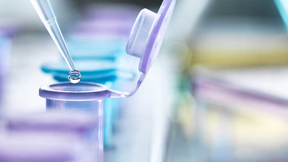 Pathology and Laboratory Medicine