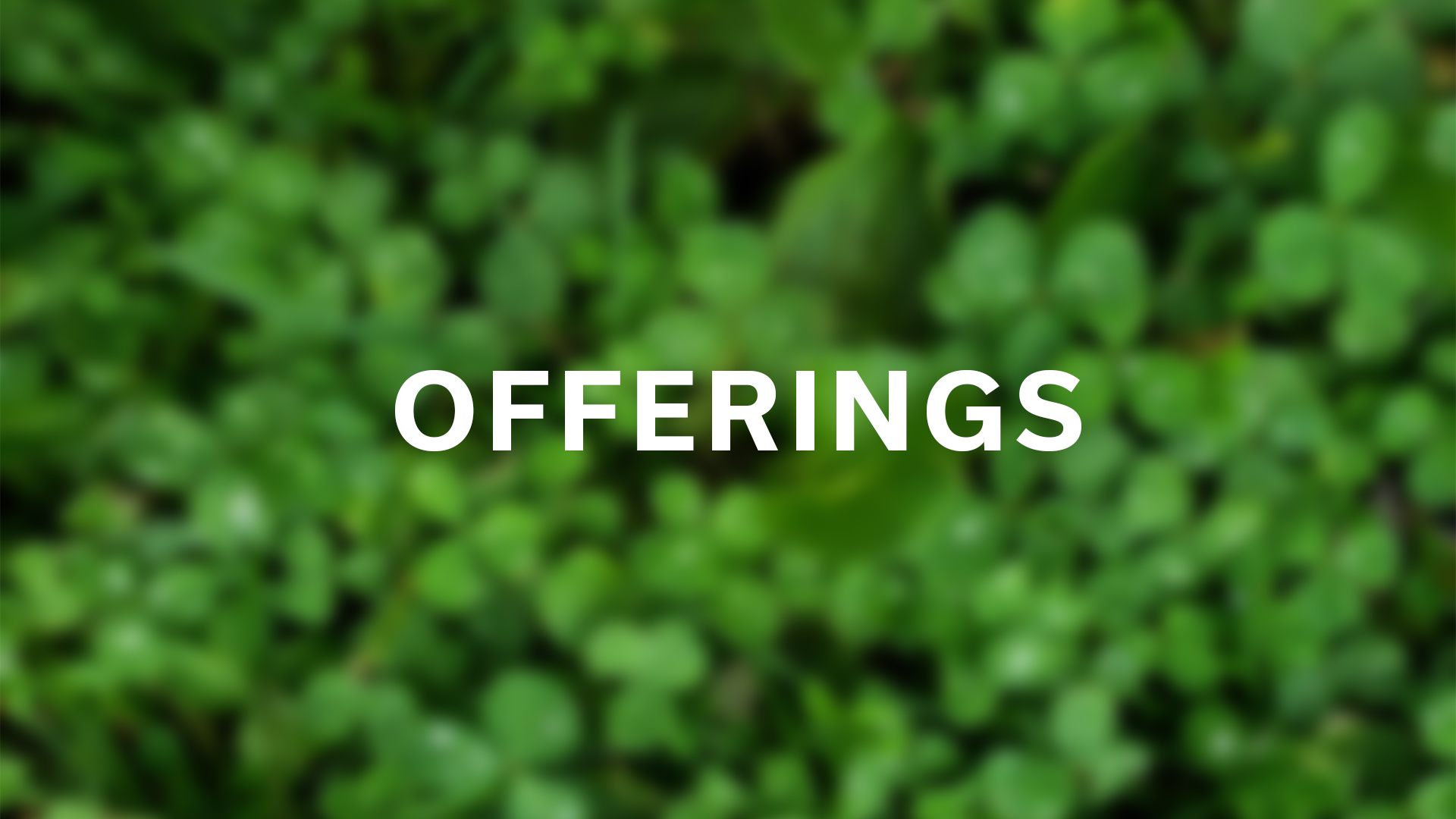 Offerings Ad