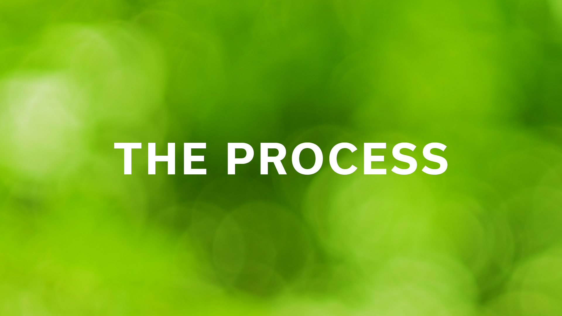 Understand the Process