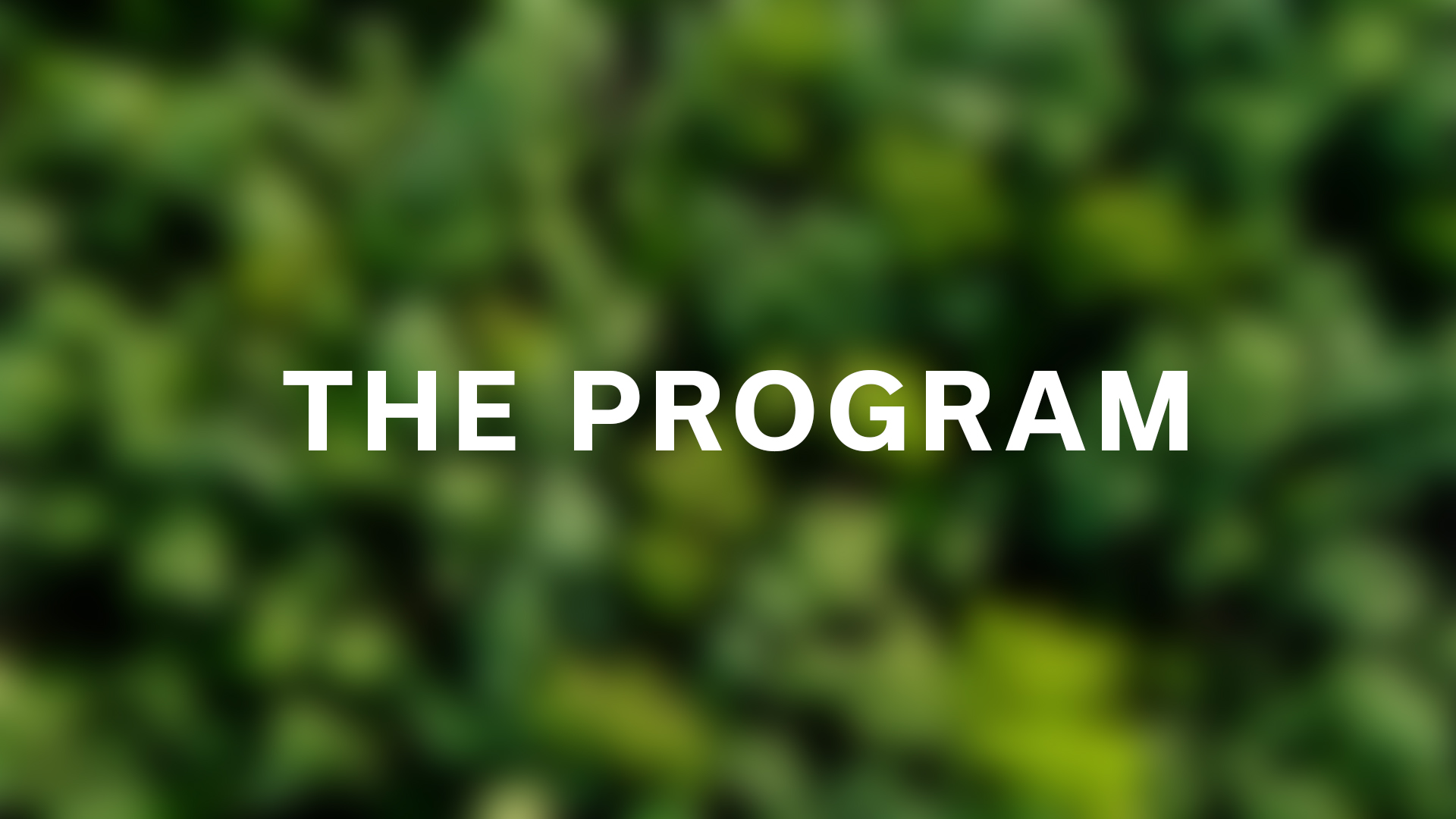 Explore the Program