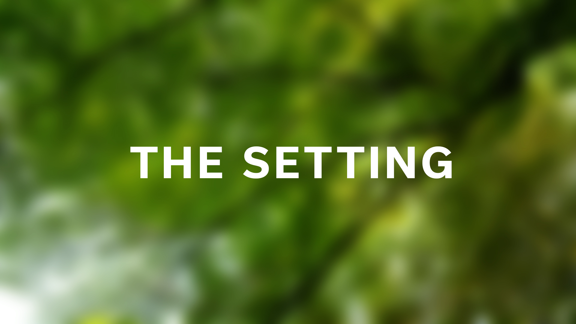 Setting Ad