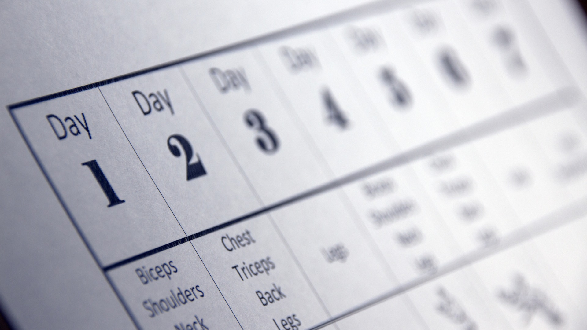 daily workout calendar