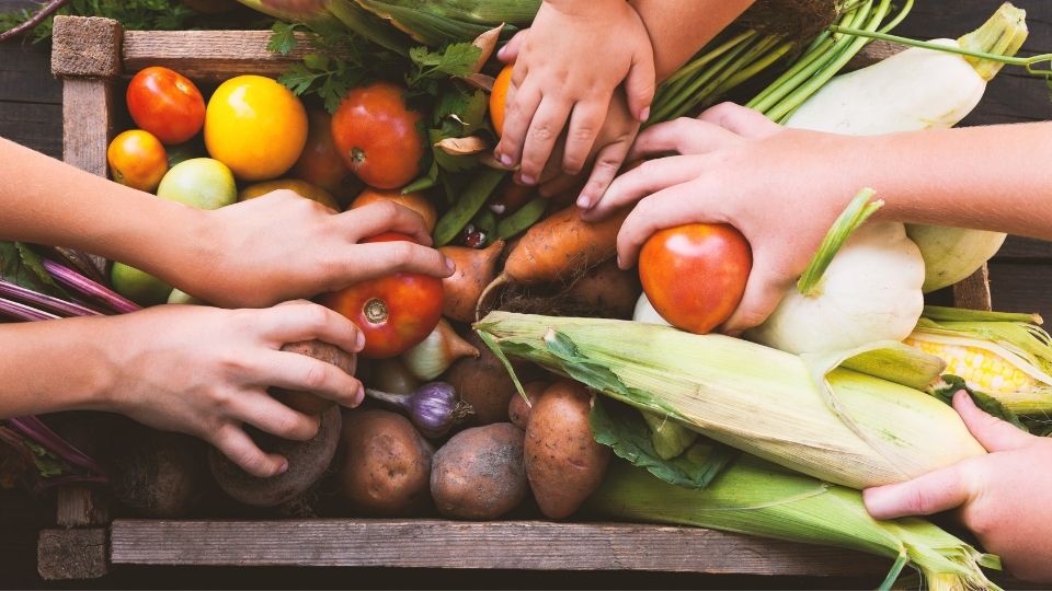 hands touching fresh produce