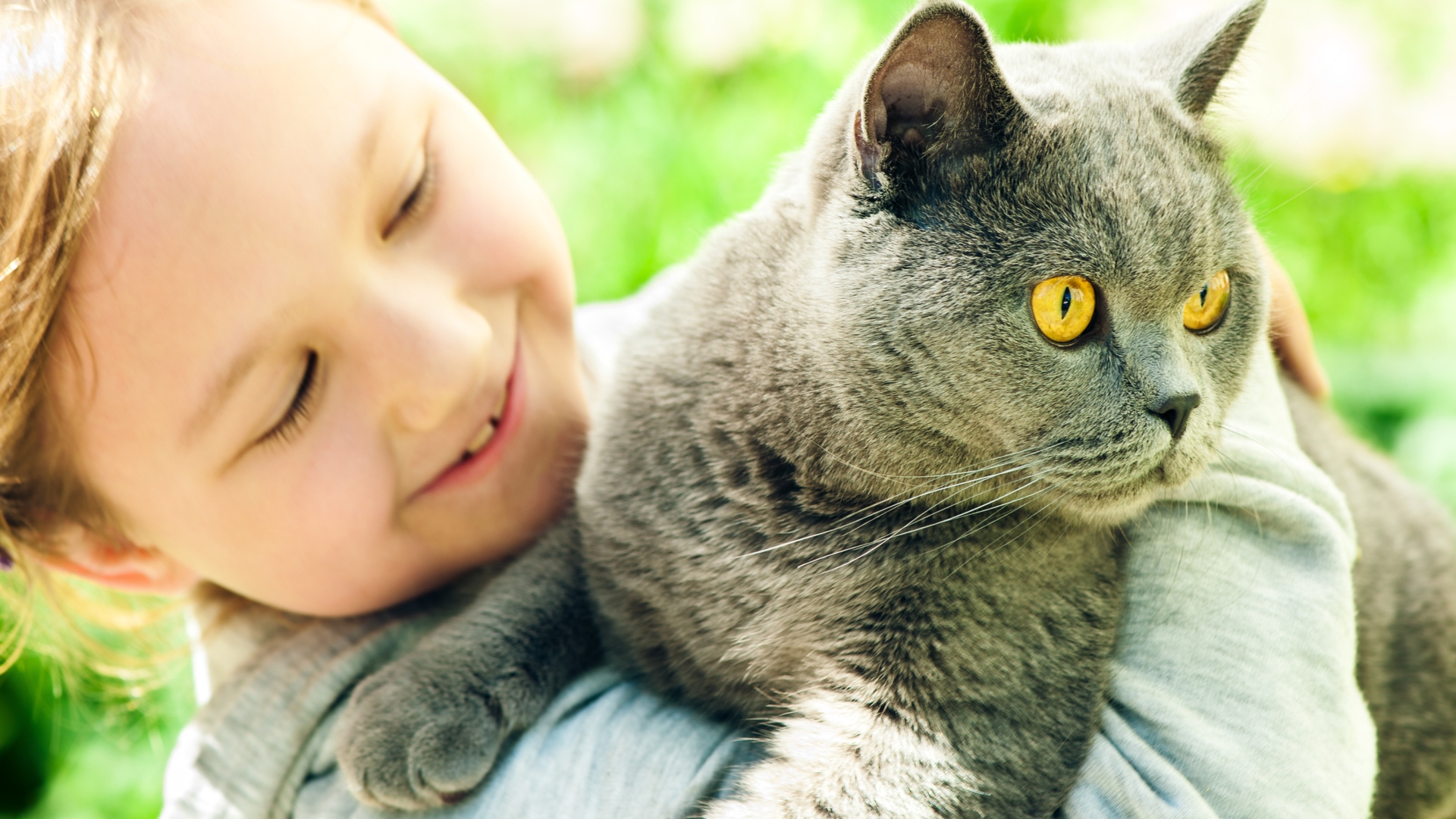little girl holding cat