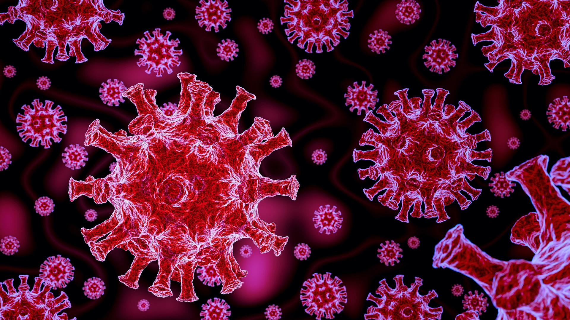 Coronavirus COVID-19