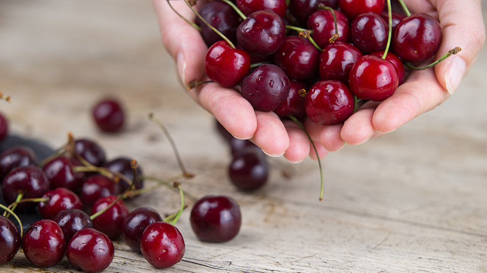 Can Cherries Help You Get a Better Night's Sleep?