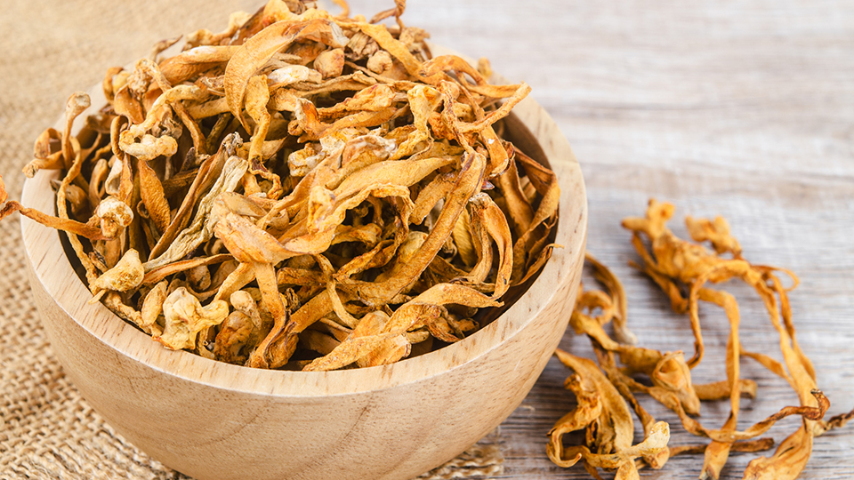 Cordyceps Mushrooms: A Superfood?