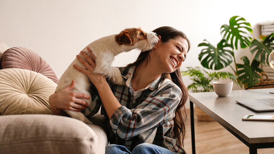 Tips to be more emotionally resilient