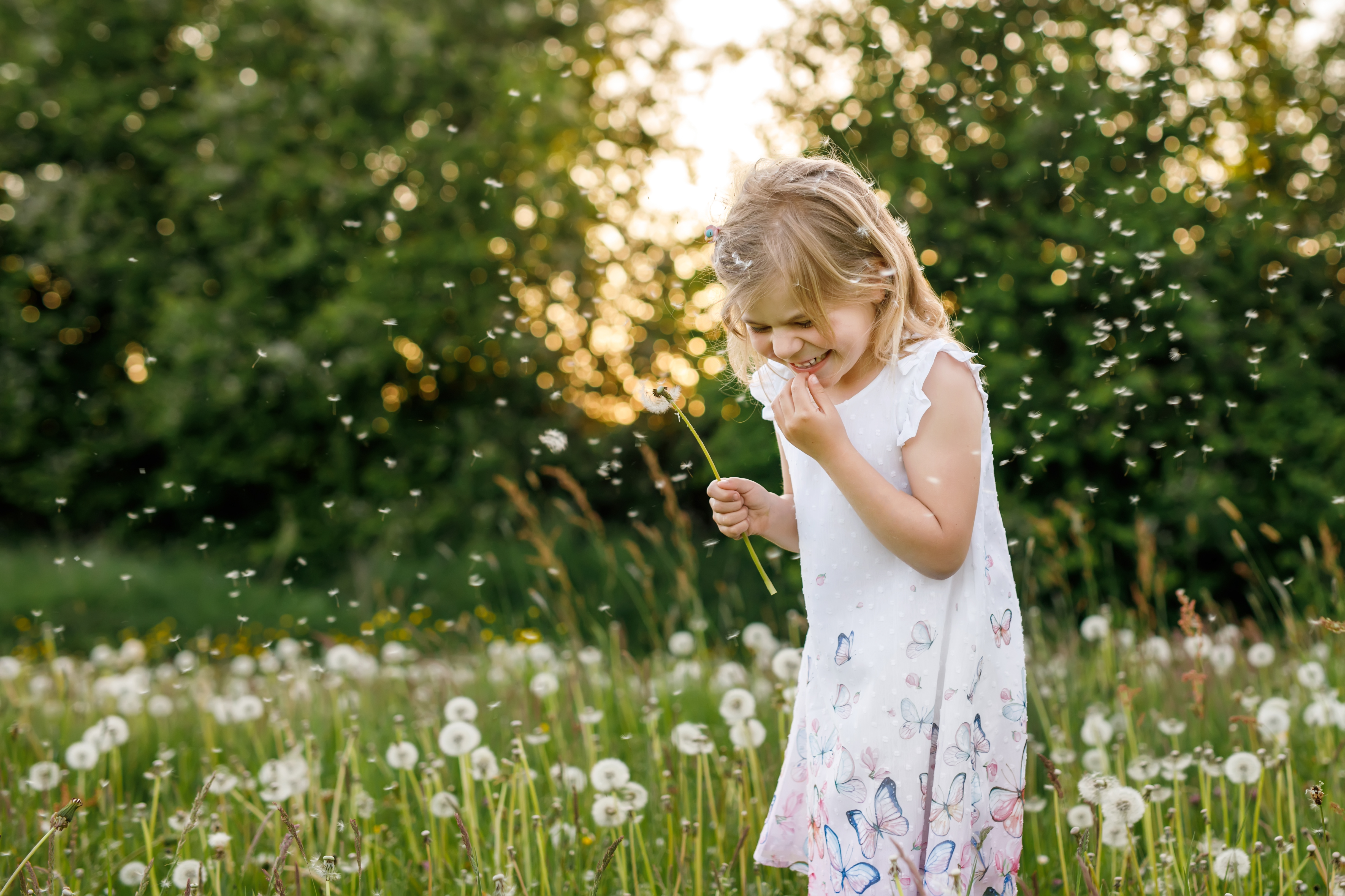 A girl sneezes while playing among dandelions in springtime