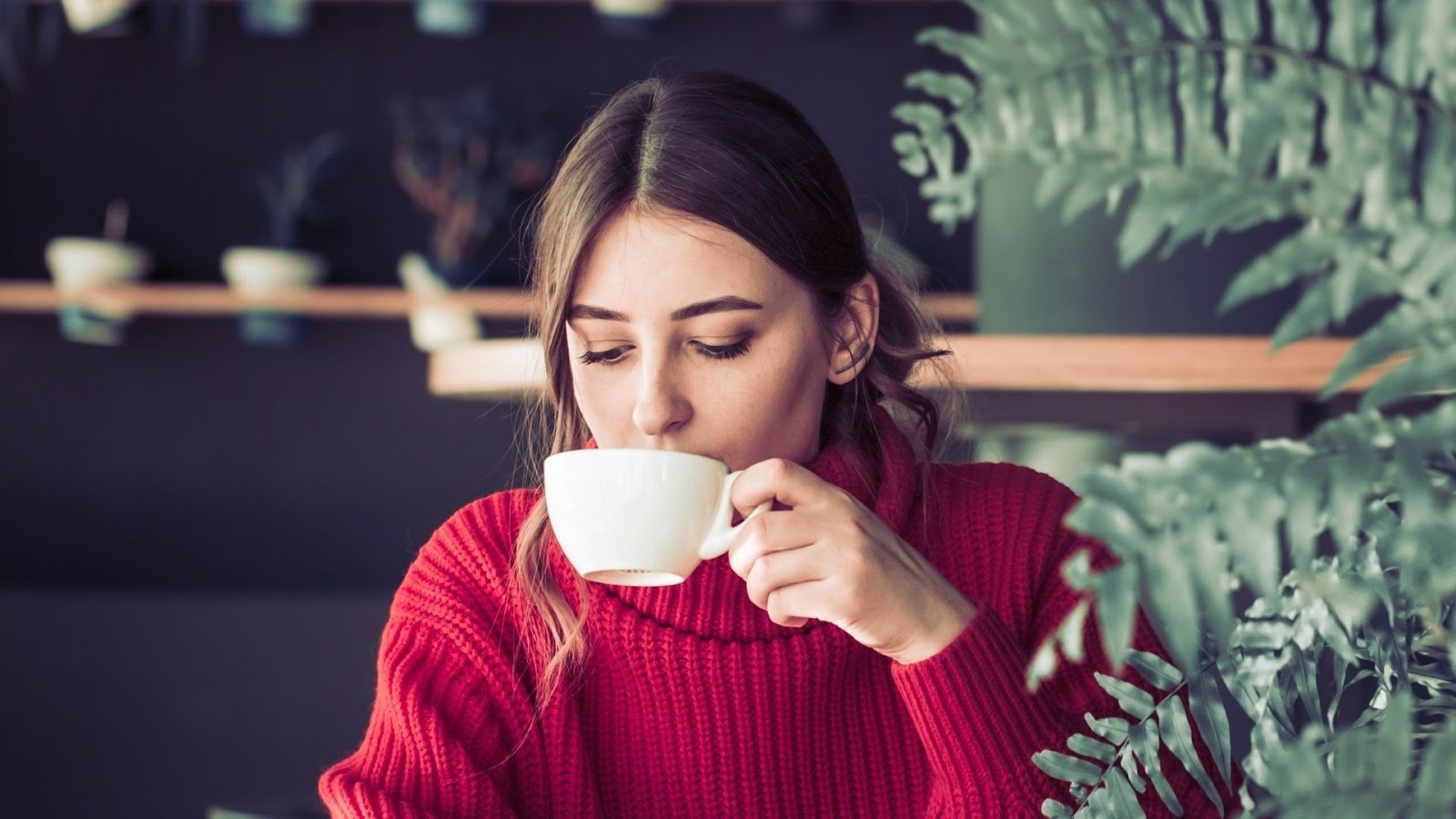 What are adaptogens