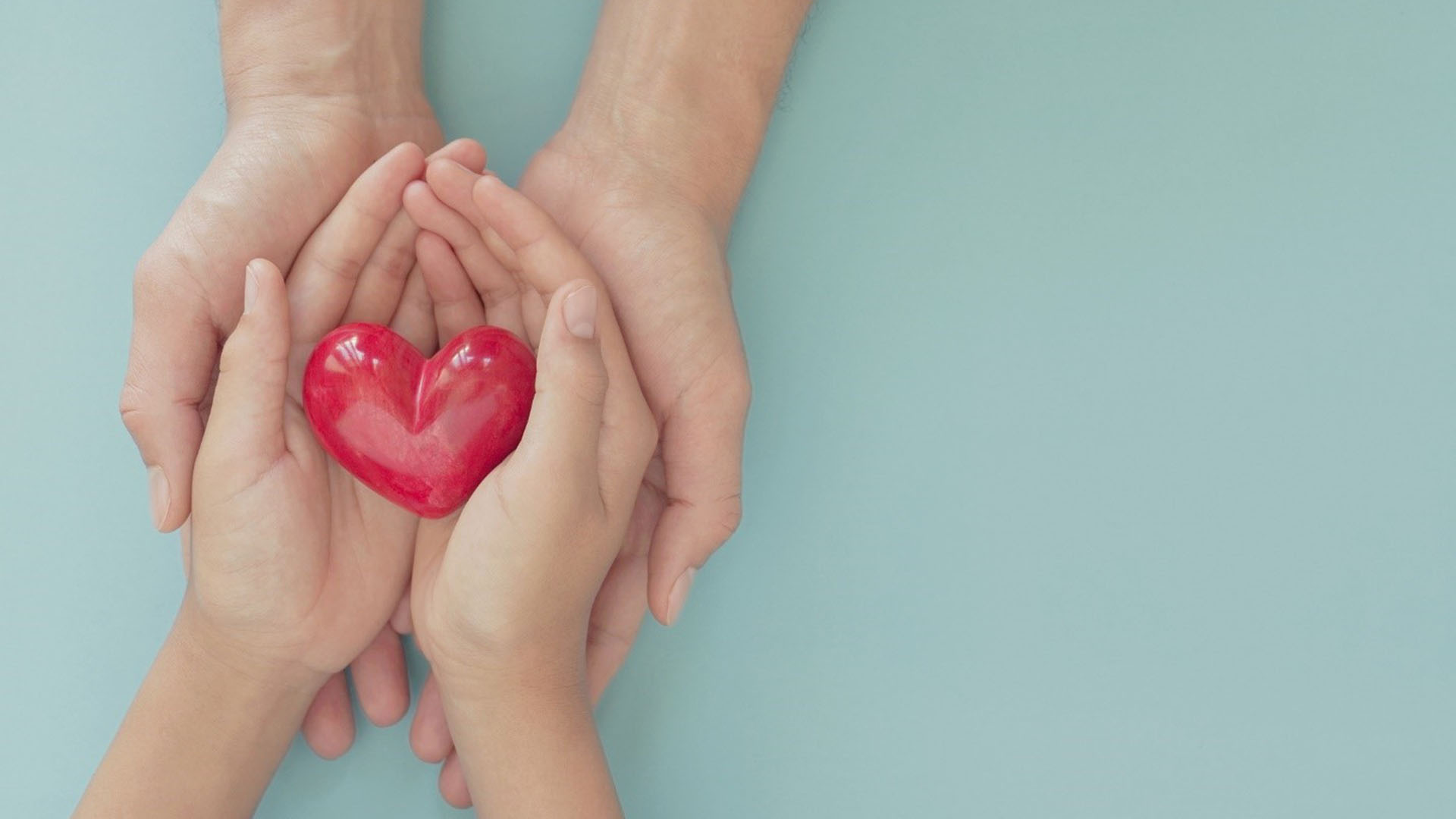 Organ Donation