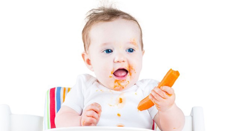 Baby-Led Weaning: Which Foods to Feed Your Infant