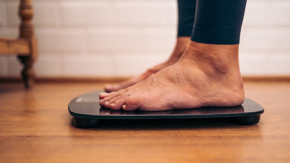 Obesity and Brain Function