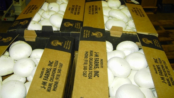 White Mushrooms