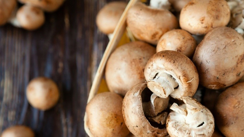 Mushrooms