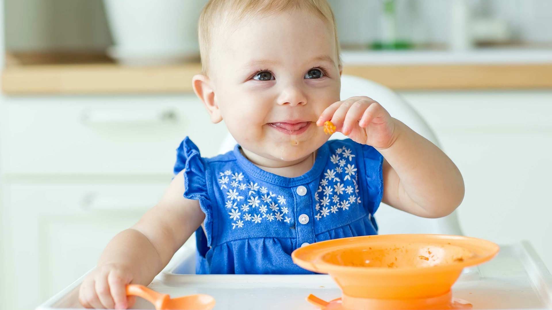 Homemade Baby Food Recipes