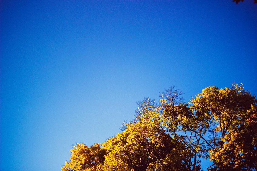 autumn foliage in oklahoma