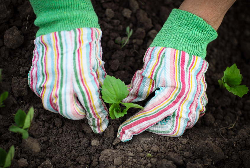 hand safety while gardening