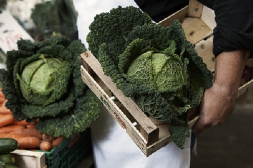 Cabbage