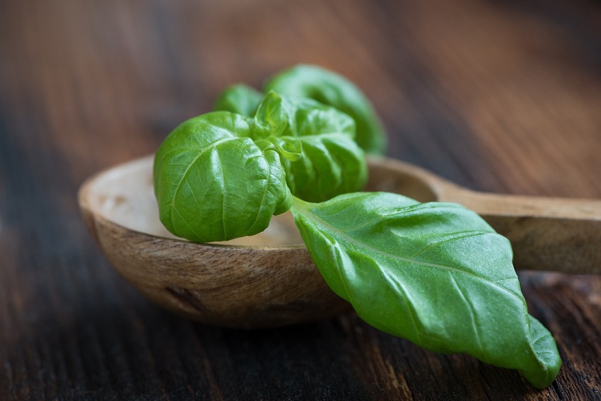 basil