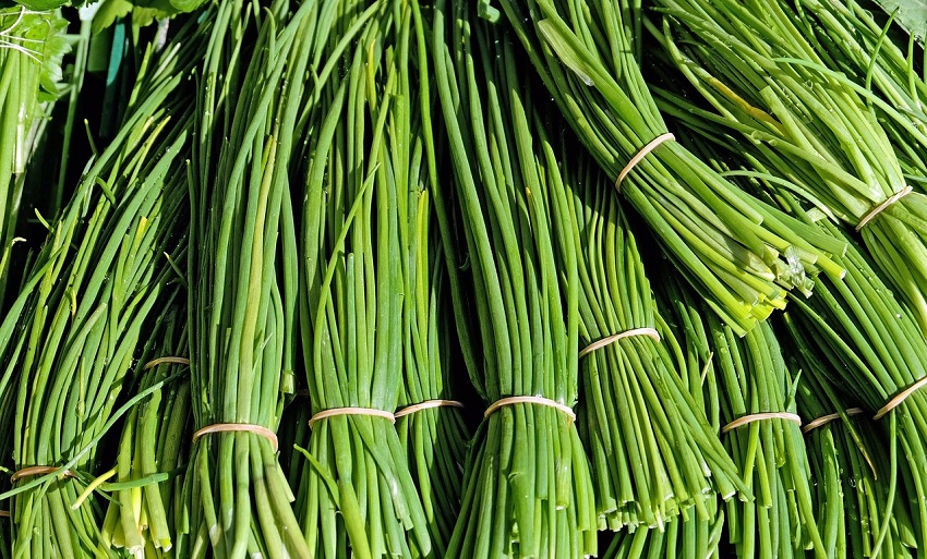 chives