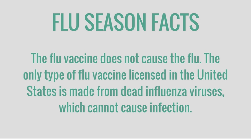 the flu vaccine does not cause the flu